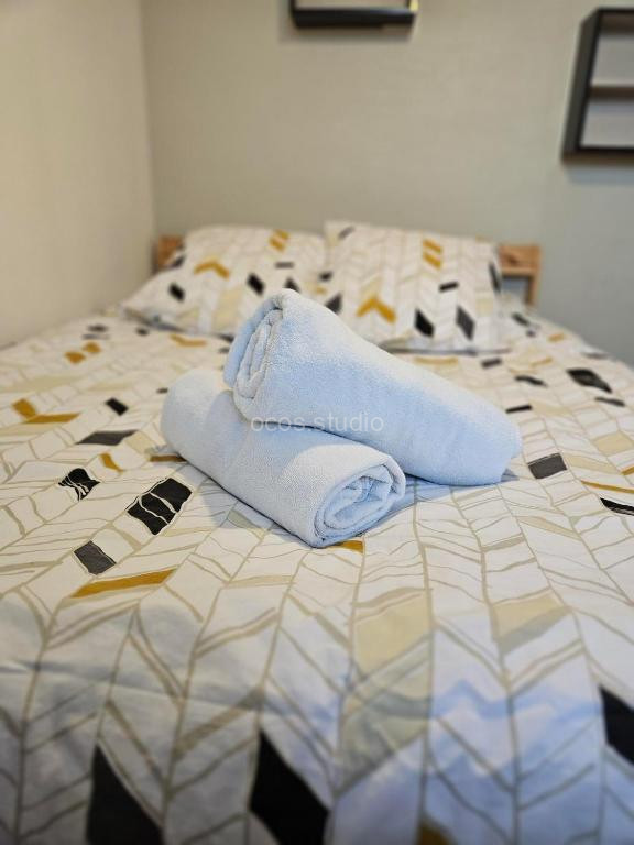 photo de Appartement - Grenoble - Calme
