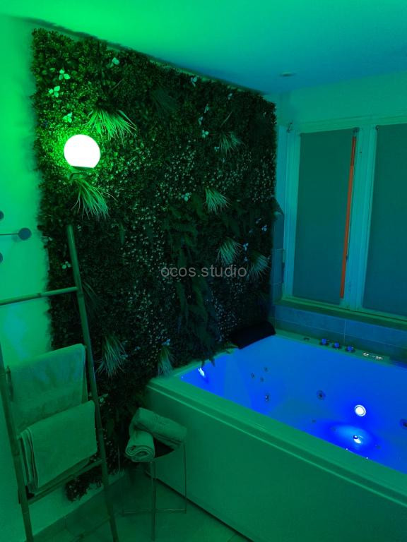 Photo de L'extasia appartement,spa jacuzzi Grenoble