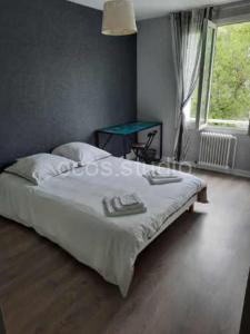 Appartement agréable à Grenoble