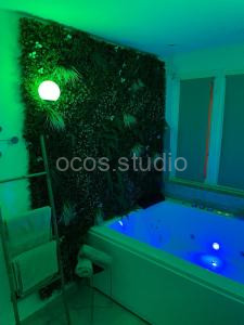 L'extasia appartement,spa jacuzzi Grenoble à Grenoble