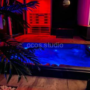 La suite Grenoble spa jacuzzi et sauna privatif à Grenoble